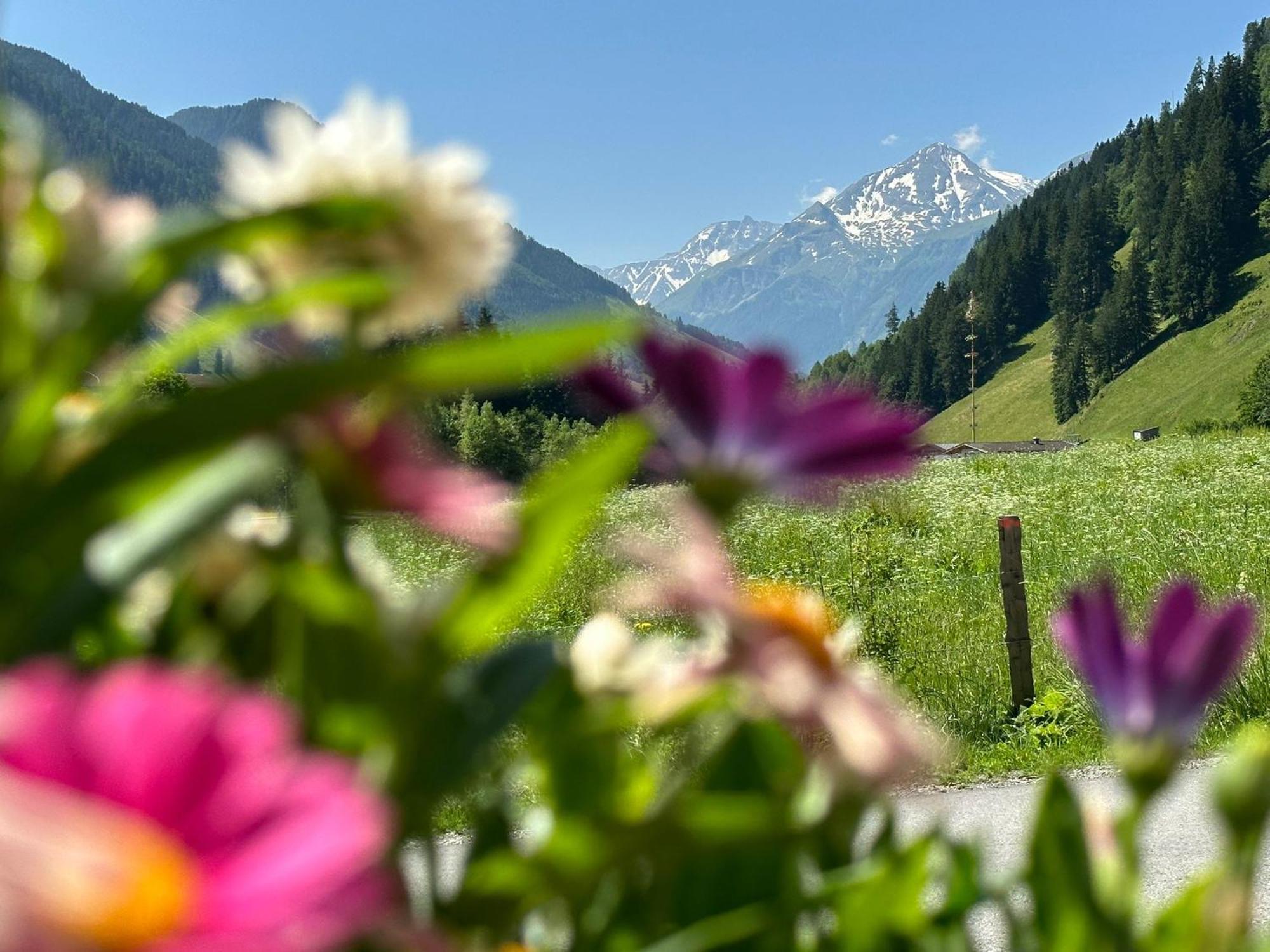 Kumming - Urlaub Inklusive Nationalparkcard * Rauris